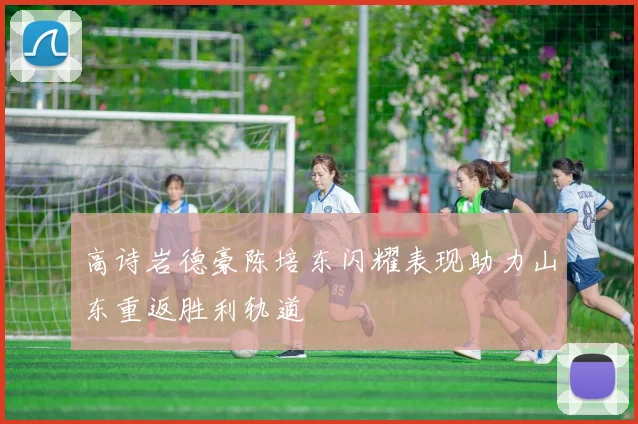 高诗岩德豪陈培东闪耀表现助力山东重返胜利轨道