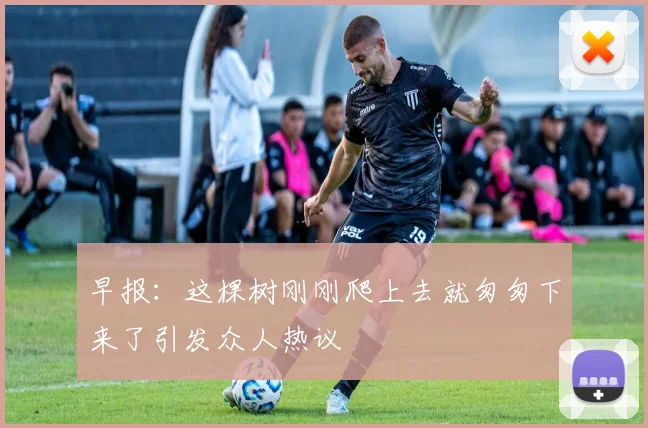 早报：这棵树刚刚爬上去就匆匆下来了引发众人热议