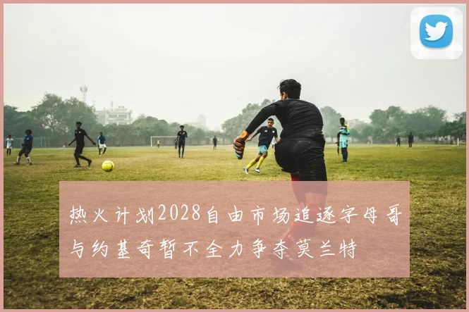 热火计划2028自由市场追逐字母哥与约基奇暂不全力争夺莫兰特